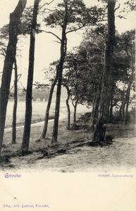 14252 Gezicht op de Lazarusberg met naaldbomen te Soestdijk (gemeente Soest).